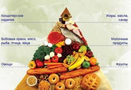 Рациональное питание и его значение для здоровья человека